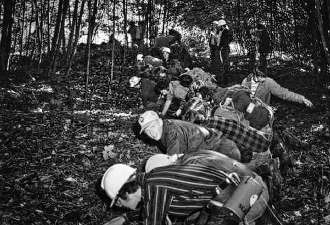 Hands-and-knees-hillside-search