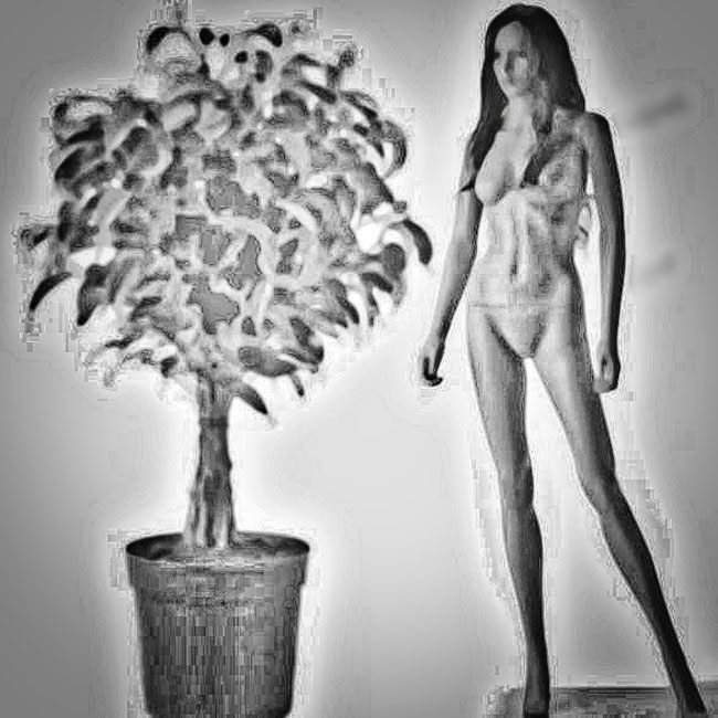 Psychology-Woman-and-Potted-Plant